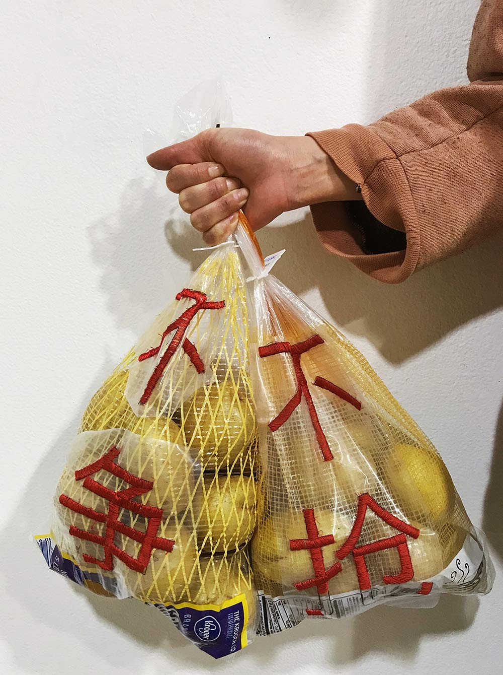 Close up on person's hand holding a mesh pacakge of golden potatoes with red characters running down the package.