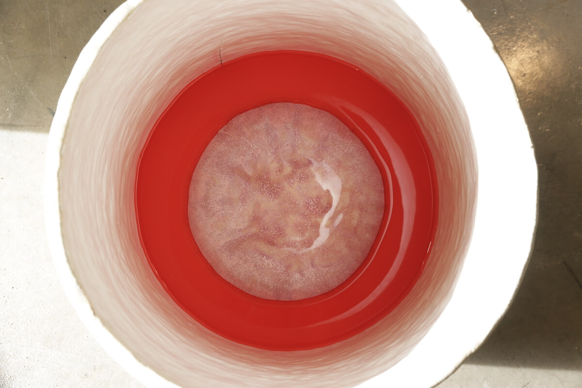 Interior of a white/cream cylinder, with organic, liquid-like red form at the bottom.