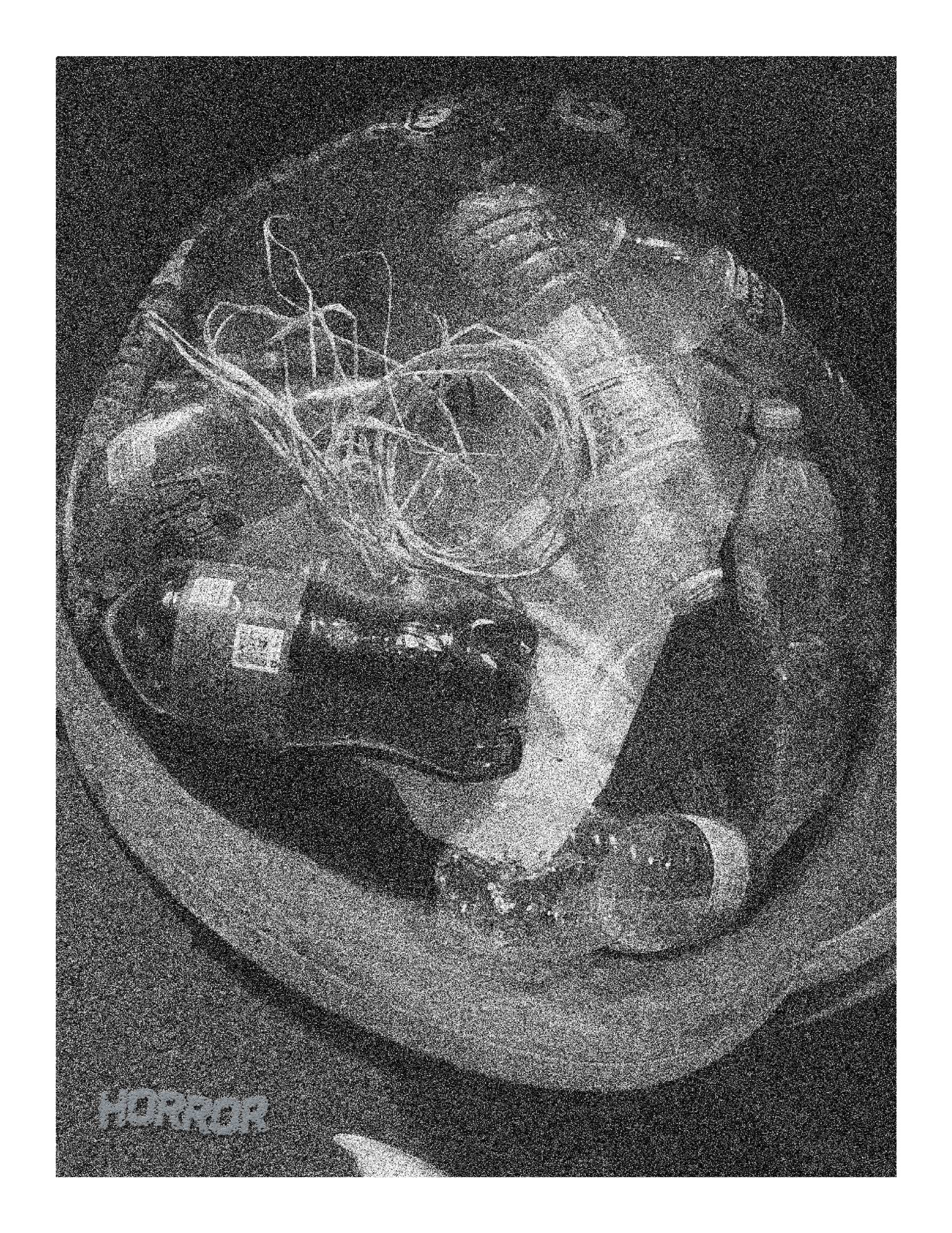 A grainy black and white print looking into the top of a garbage bag piled up with different plastic bottles and string. The word "HORROR" appears in the lower left corner.